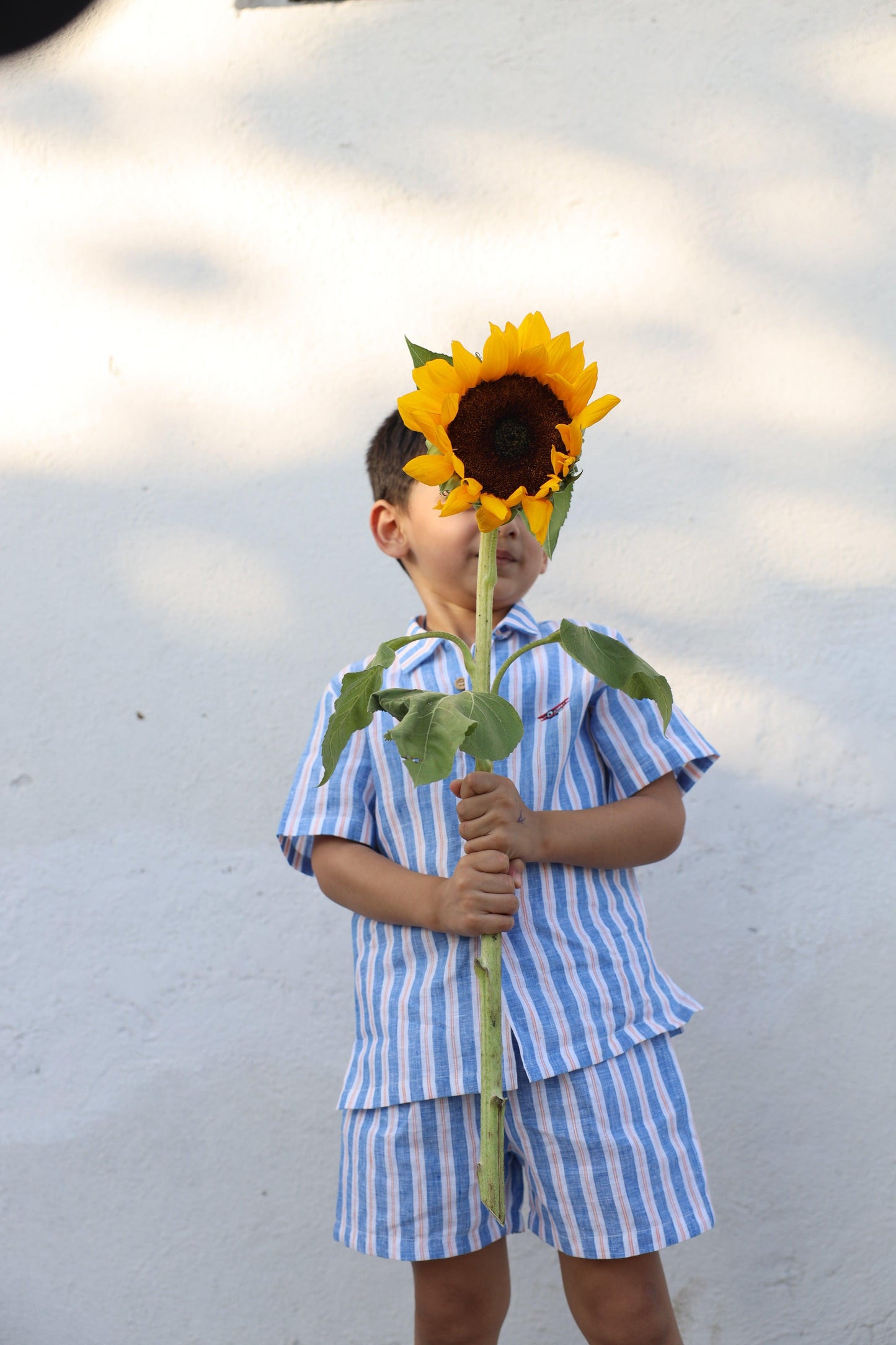Serene Stripes Pure Linen Coord
