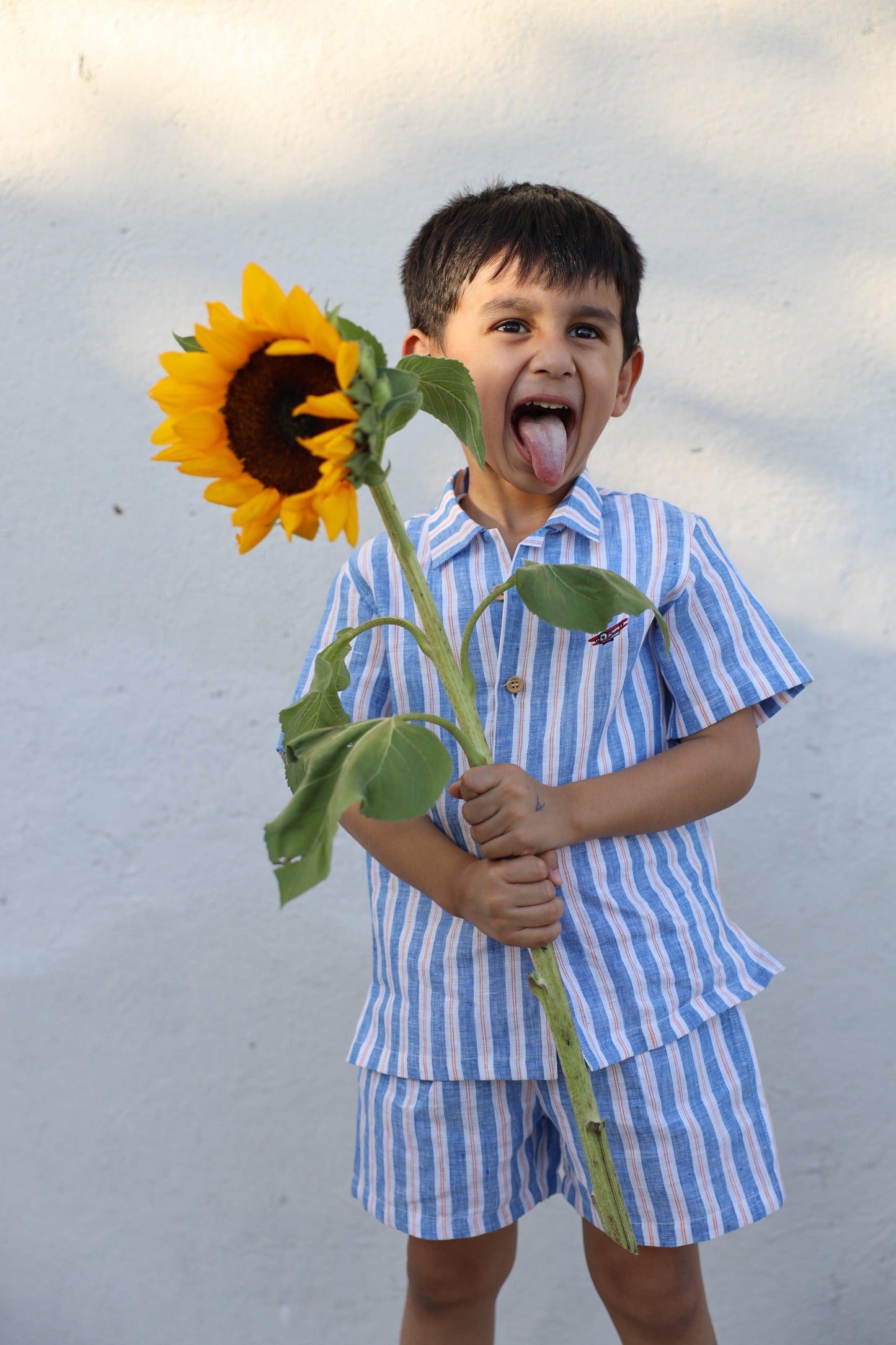 Serene Stripes Pure Linen Coord