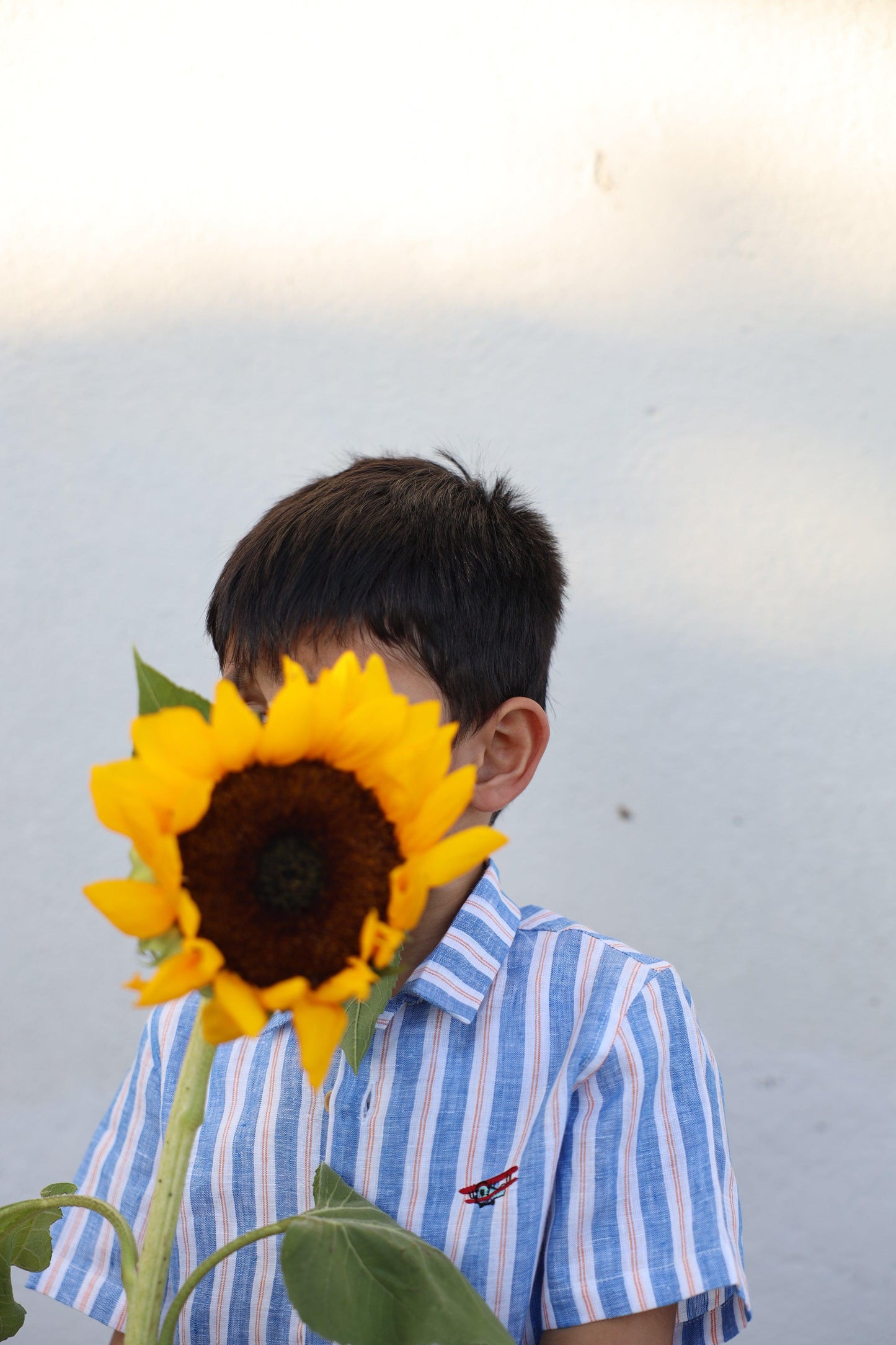 Serene Stripes Pure Linen Coord