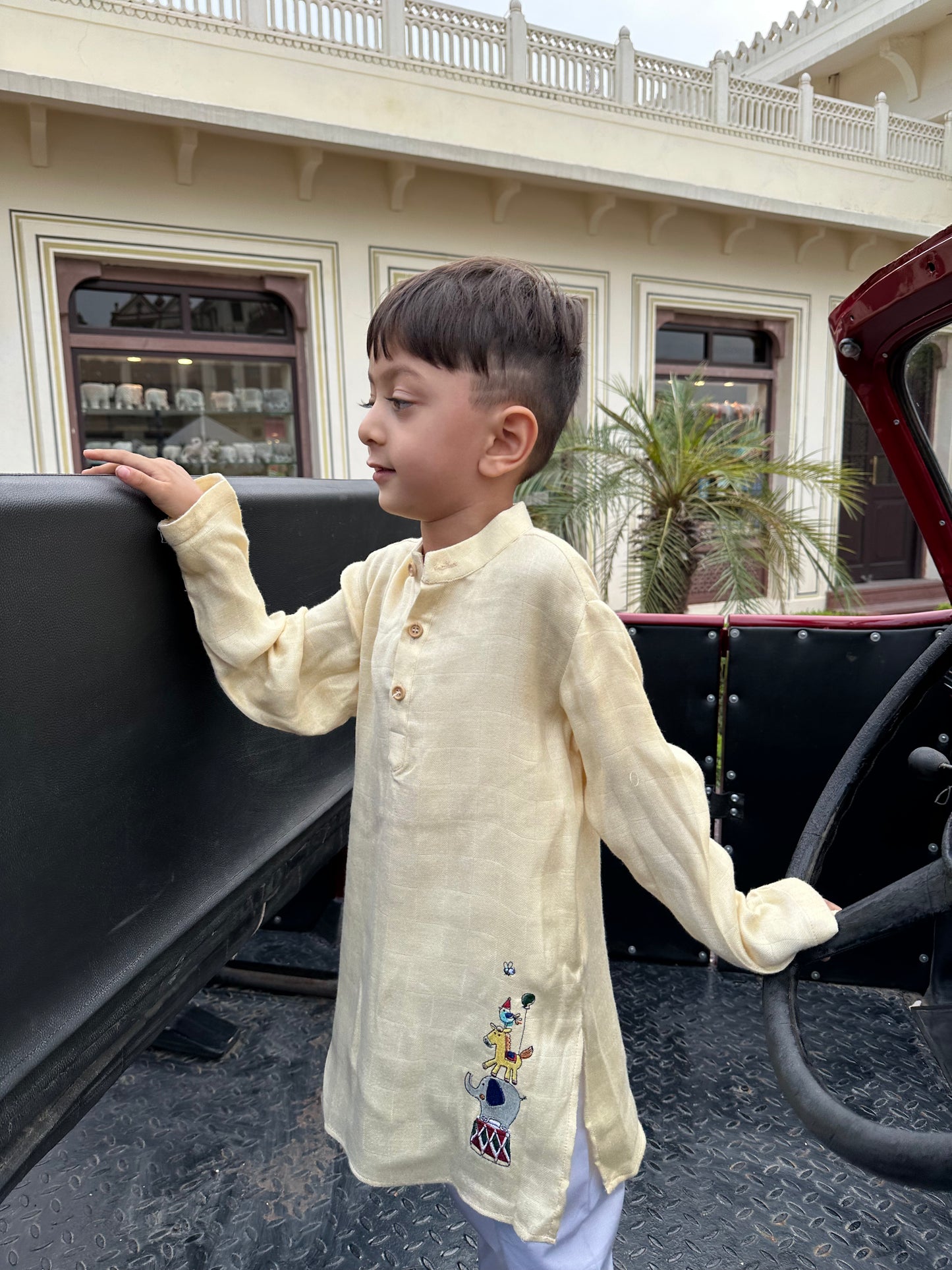 The Classic Circus Trick Embriodered Pure Bamboo Muslin Cotton Kurta Pajama Set