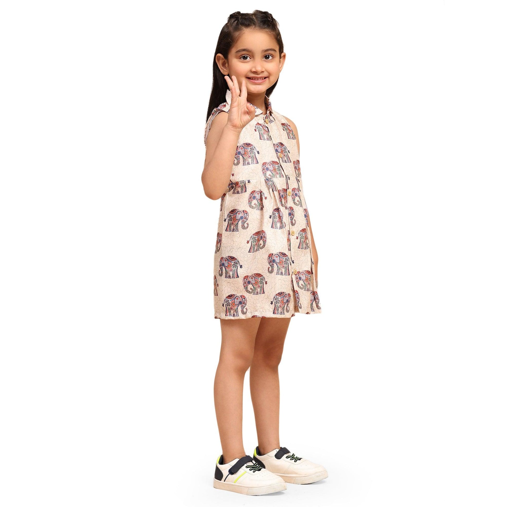 The Royal Elephant Print Blend Linen Dress - Funny Bones Clothings