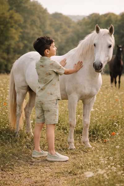 Mare & Stallion Print Premium Linen Coord Set