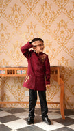 FunnyBones Maroon Achkan with Honeycomb Embroidery – maroon achkan with gold zari honeycomb and bees, view 2