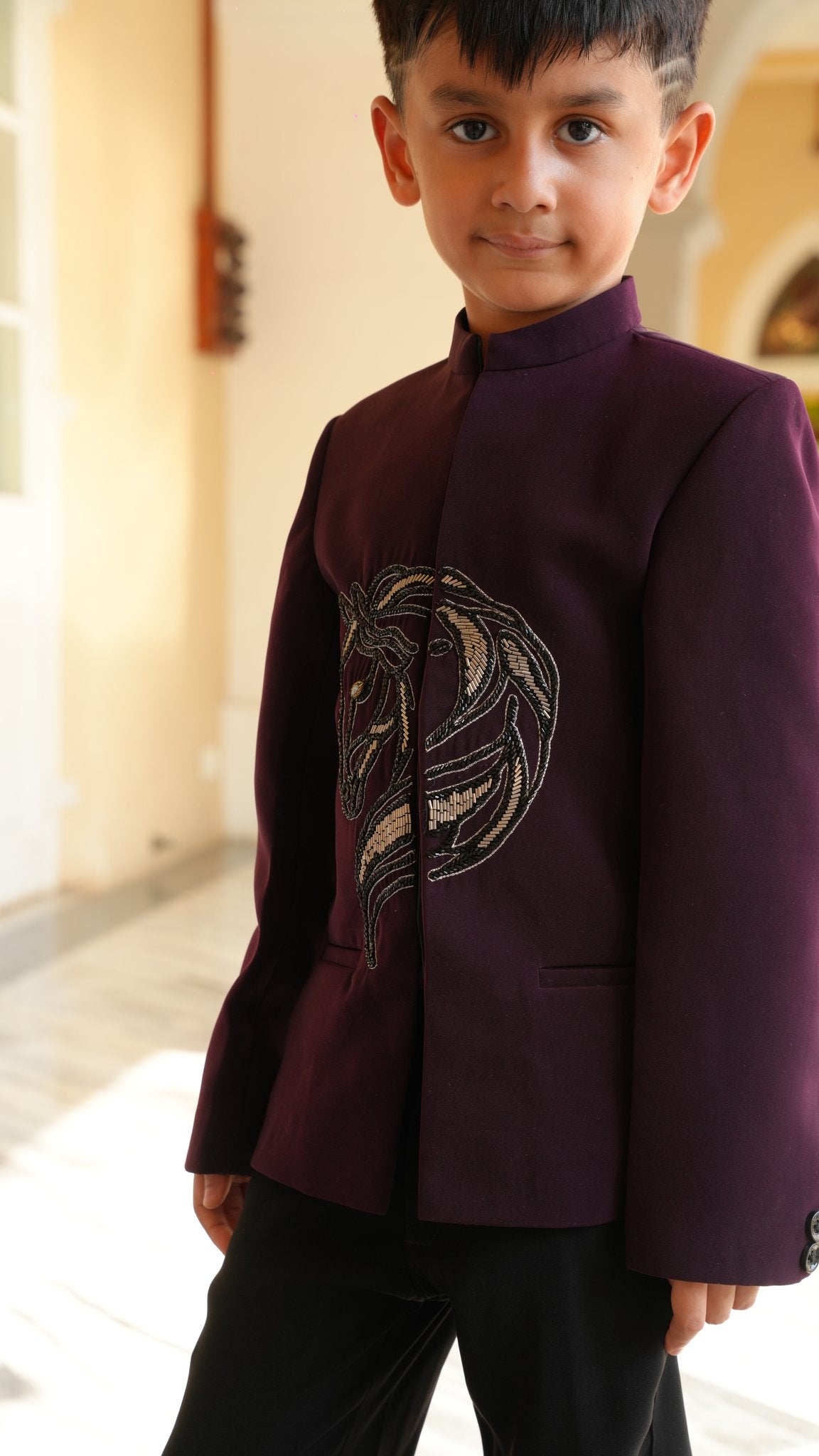FunnyBones Plum Jodhpuri with Beaded Horse – plum bandhgala with silver beaded horse motif, view 3