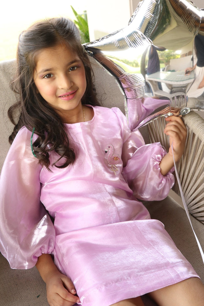 Glittering Rose Bliss Organza Girls Dress - Funny Bones Clothings