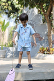 The Royal Toika Print Pure Linen Coord Set - Funny Bones Clothings