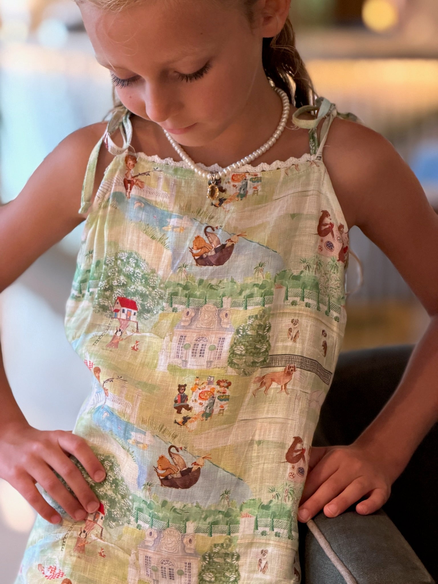 The Squirrel Picnic Print Premium Linen Dress - Funny Bones Clothings